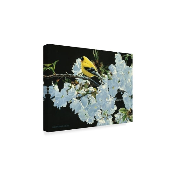 Ron Parker 'Goldfinch And Blossoms' Canvas Art,24x32